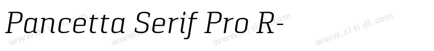 Pancetta Serif Pro R字体转换